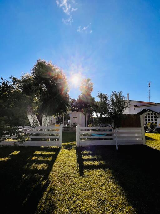 Апартаменты Under The Vine Garden House Platanion Экстерьер фото